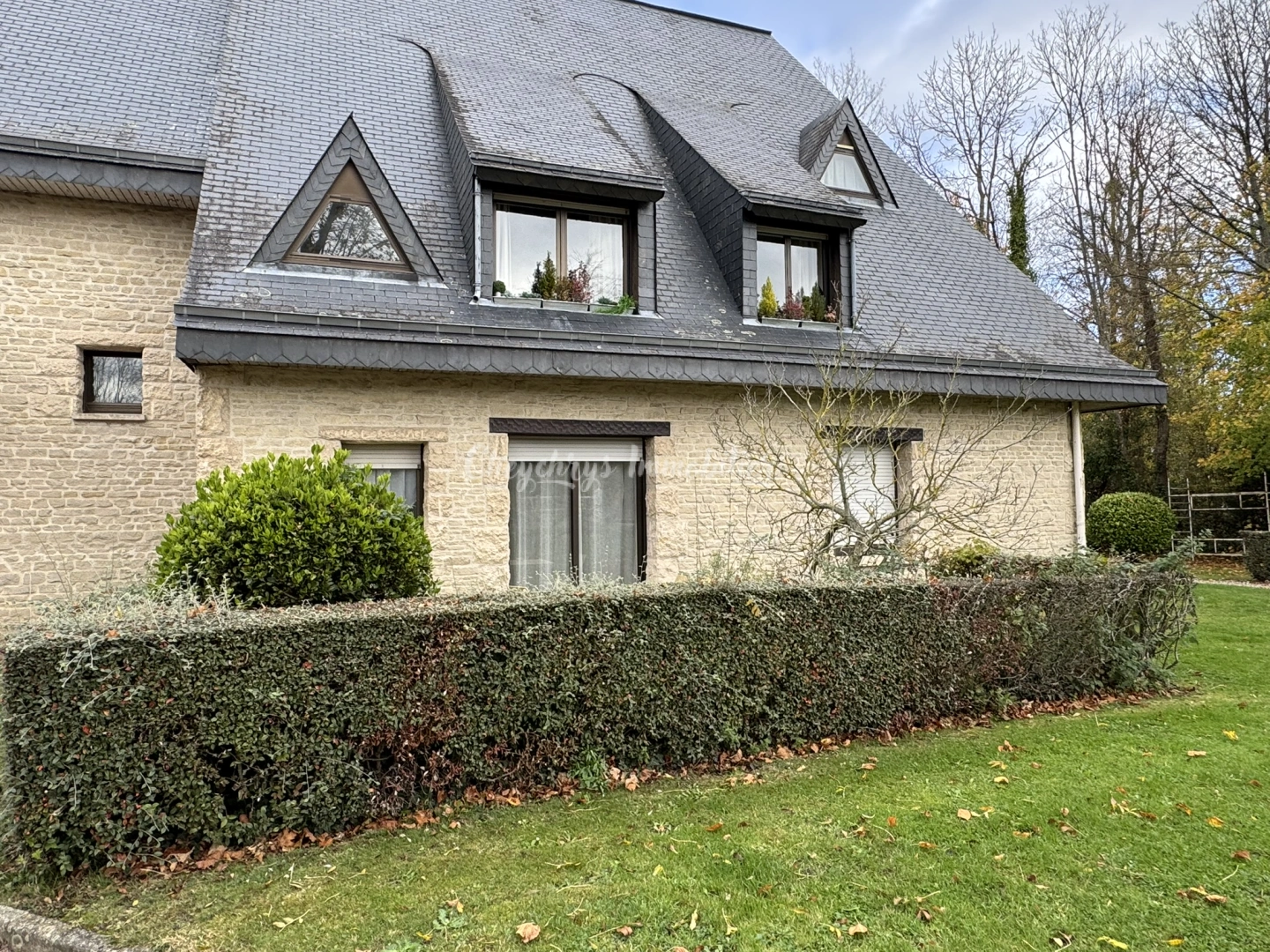 property
